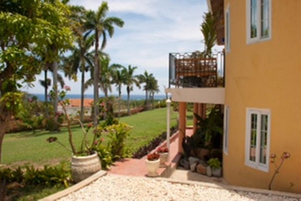 Bird Eye View * Montego Bay