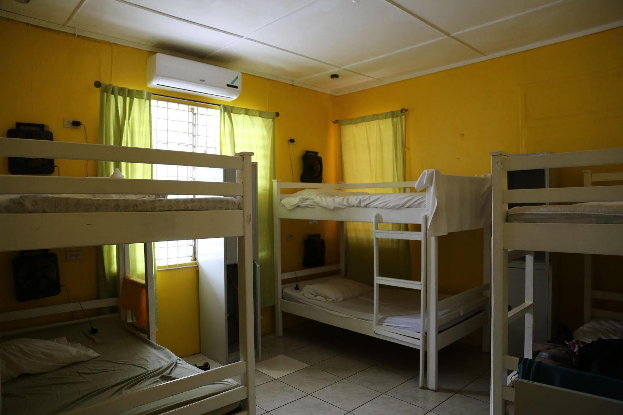 Hostel Reggae *