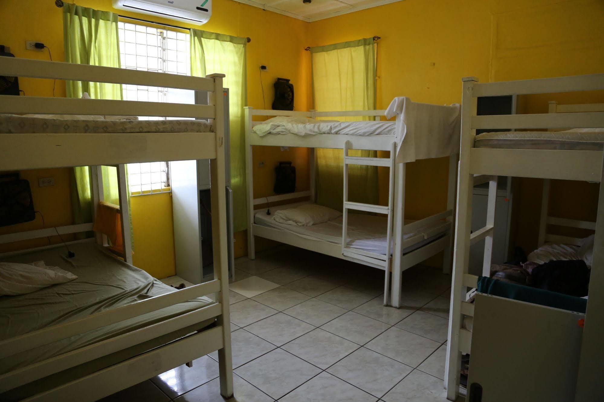 Reggae Hostel *