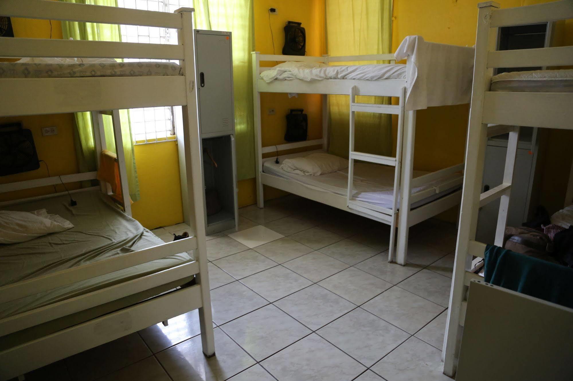 Reggae Hostel Kingston