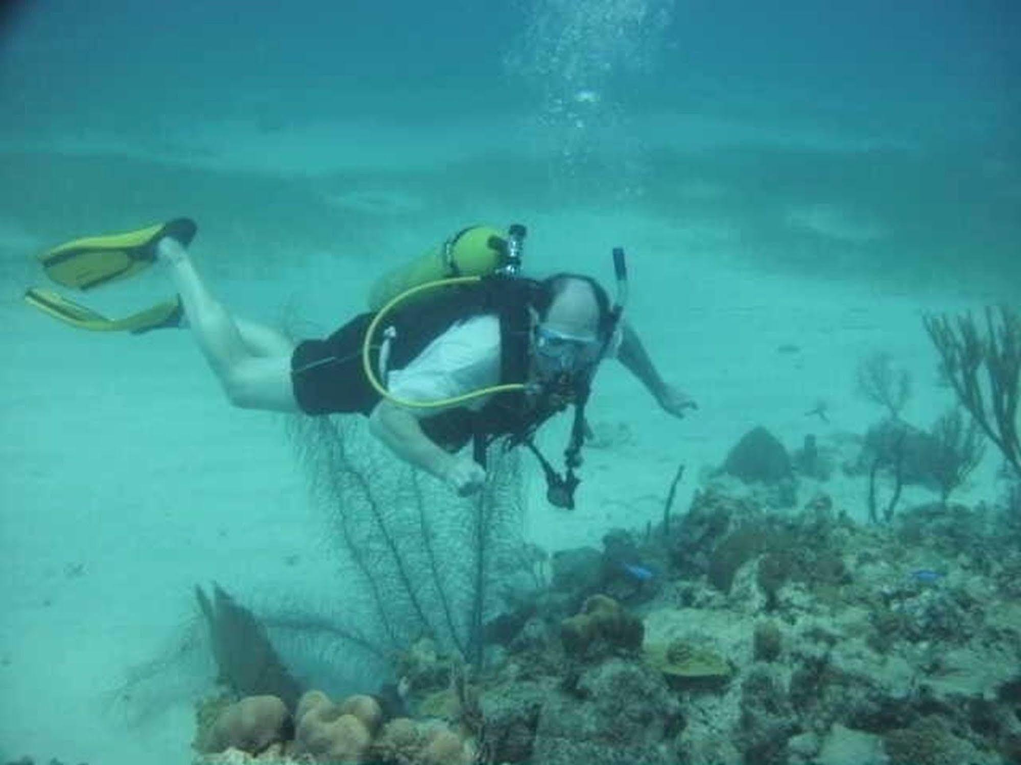 Cariblue & Scuba Hotel Montego Bay