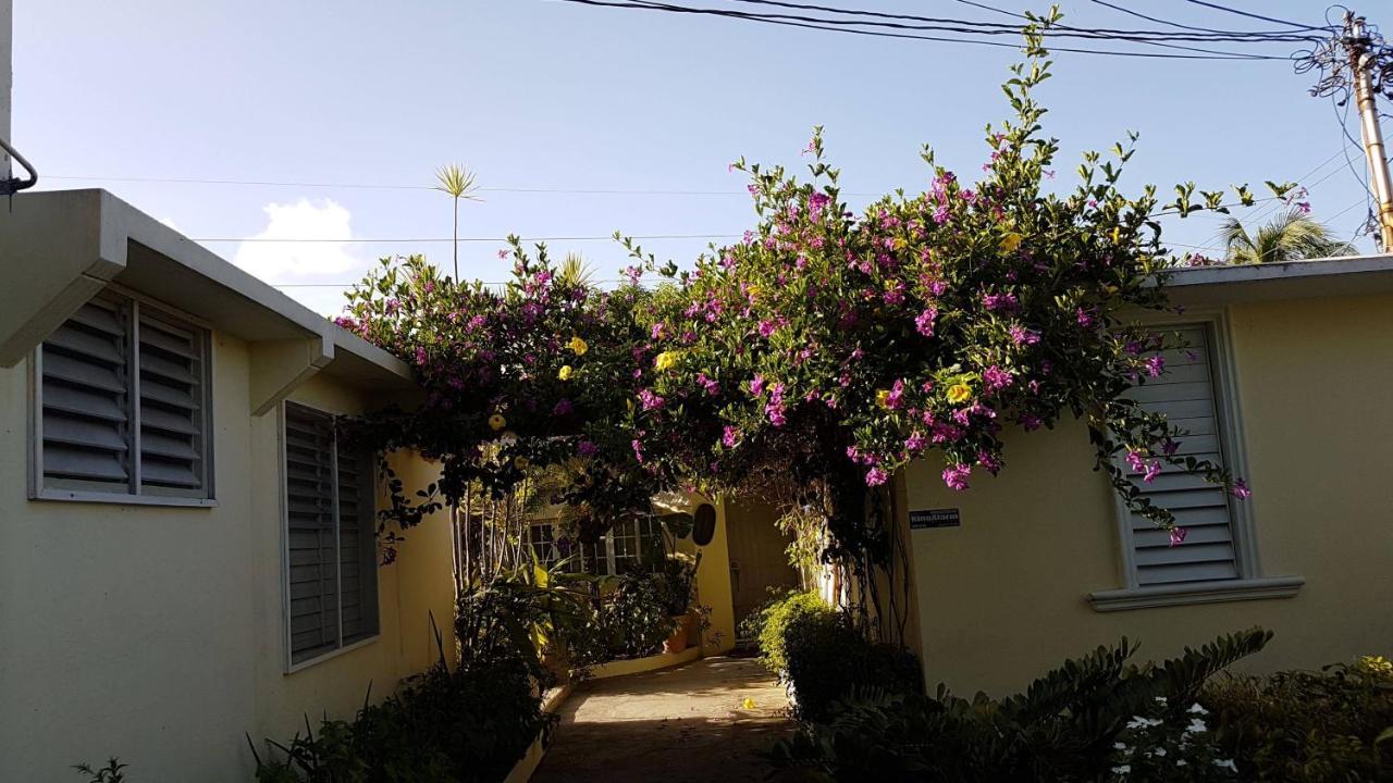 Kingston Cottage * Kingston