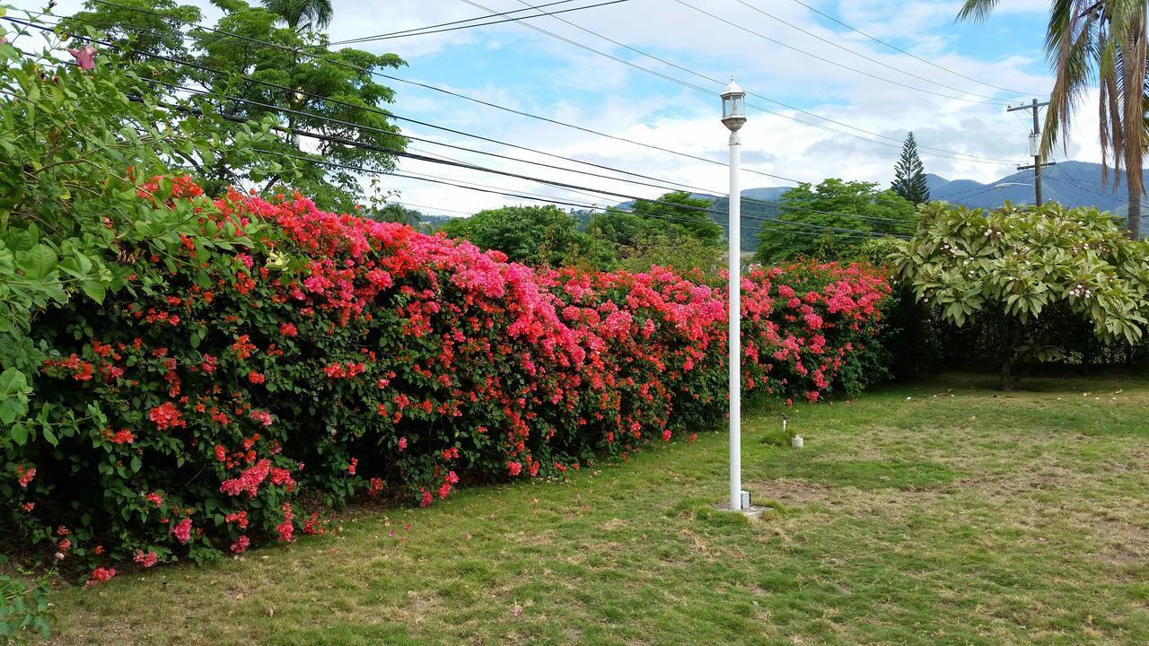 Kingston Cottage *