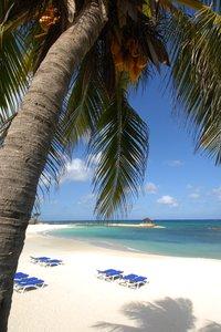 The Palmyra A Solis & Montego Bay