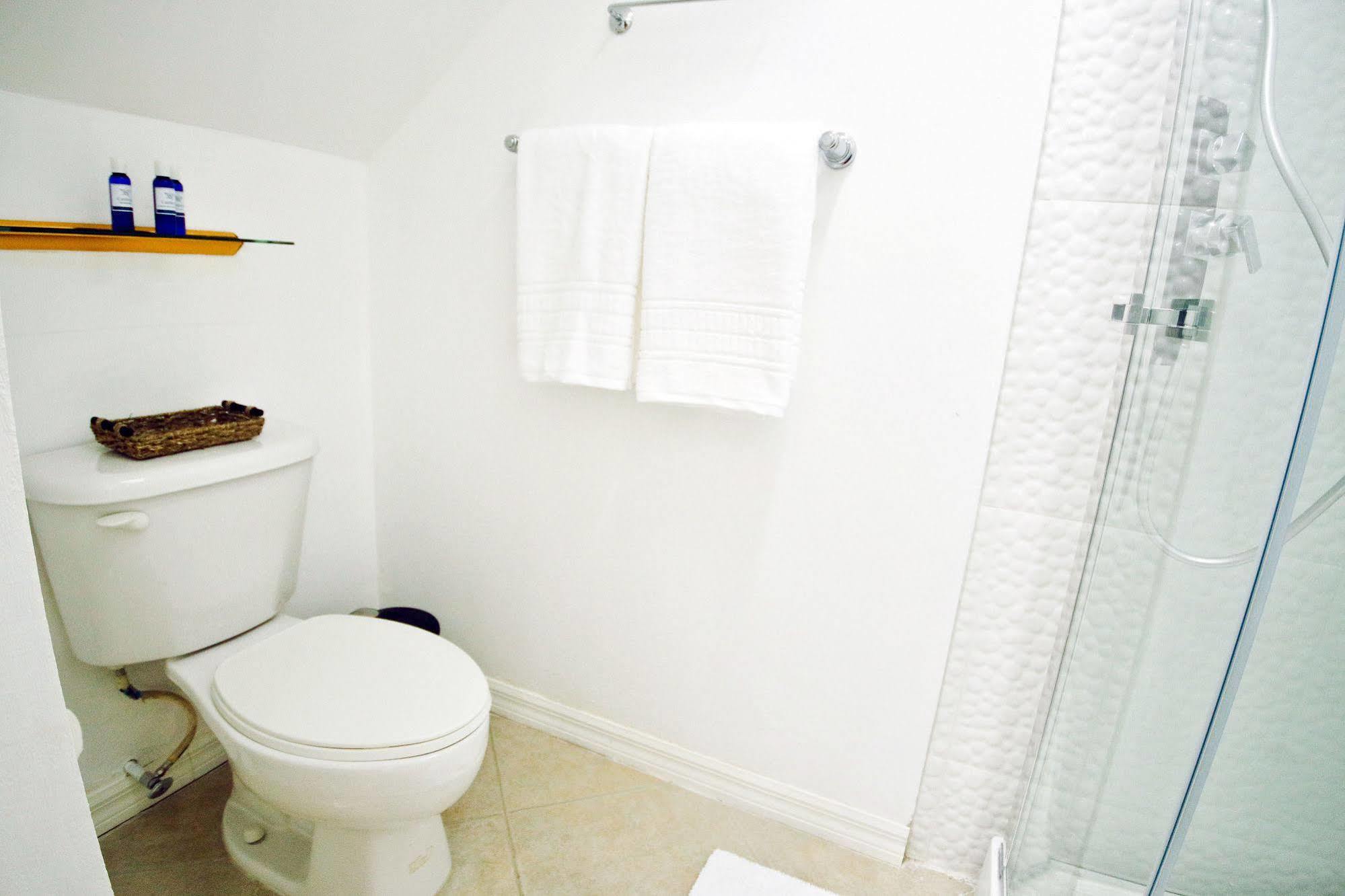 Cattleya Luxury