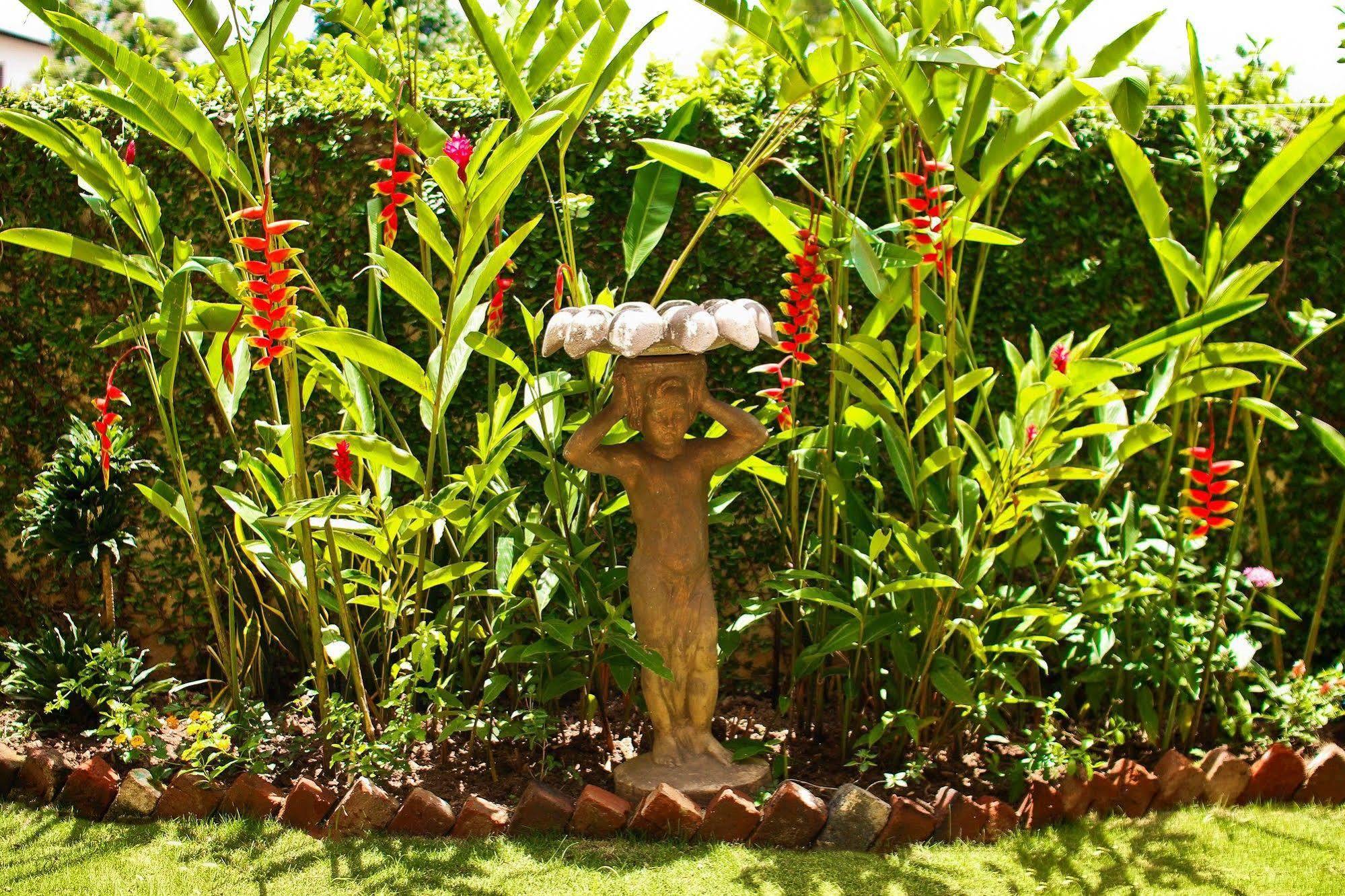 Cattleya Luxury