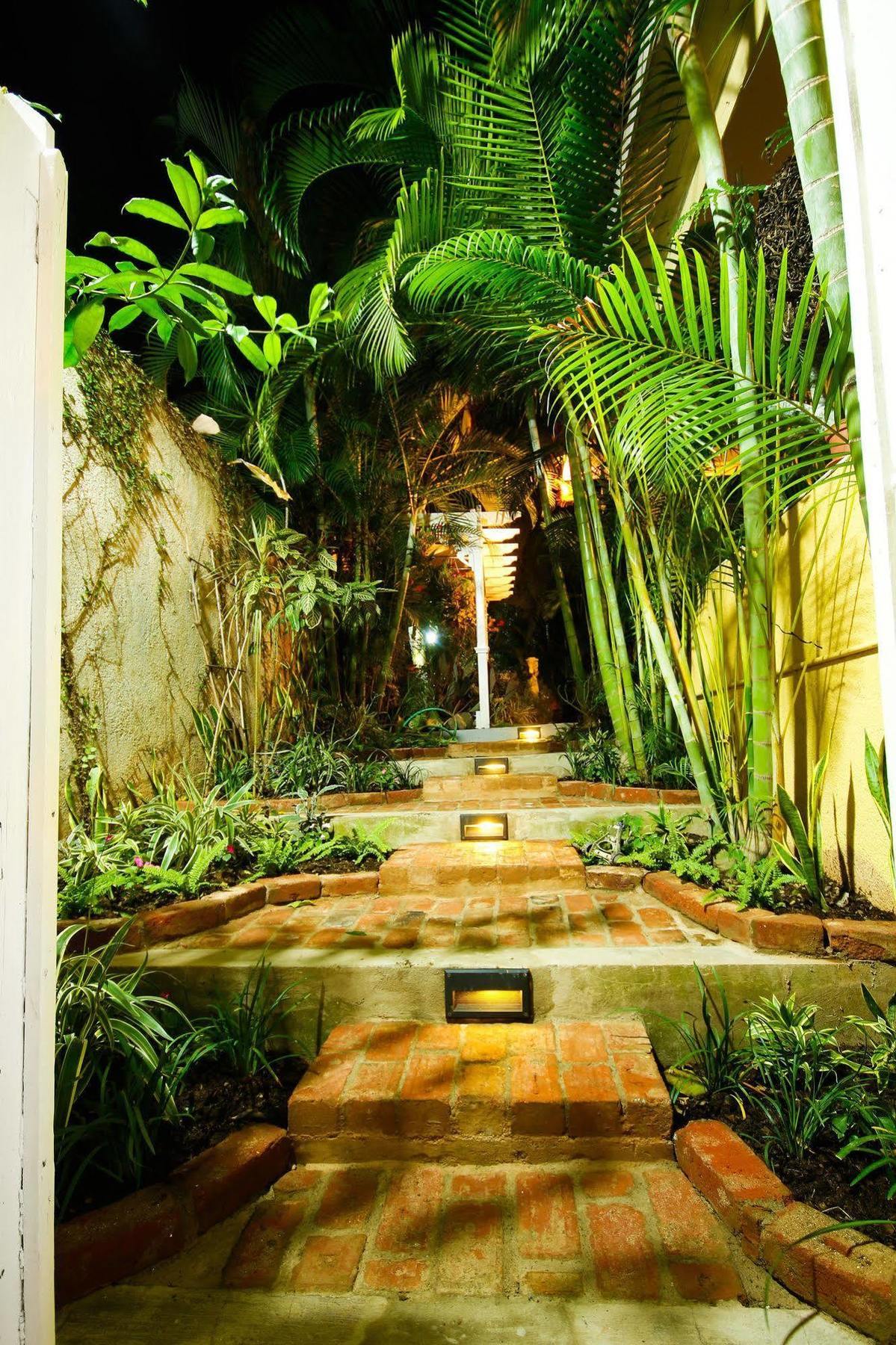 Cattleya Luxury 3* Kingston