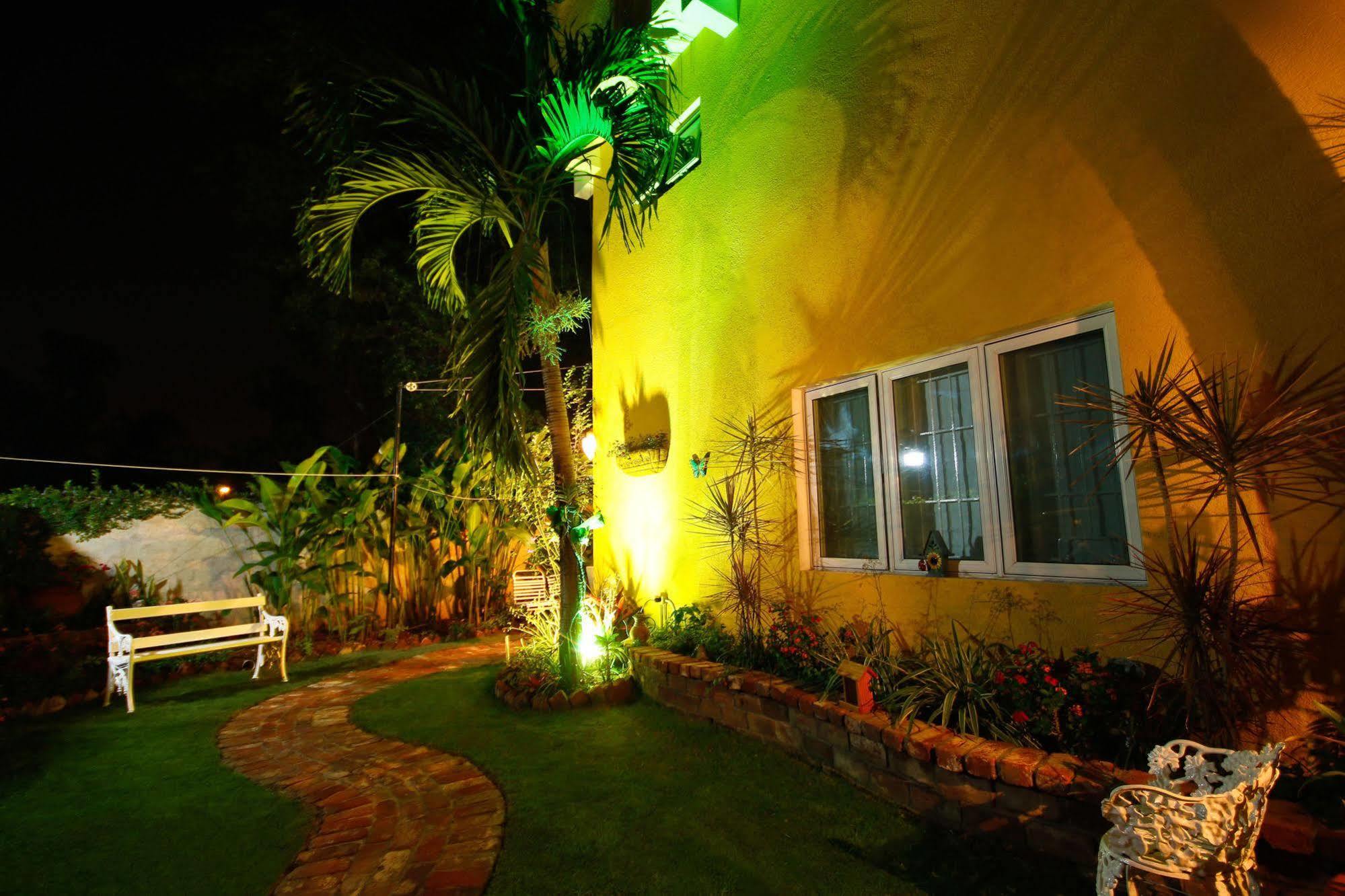 Cattleya Luxury