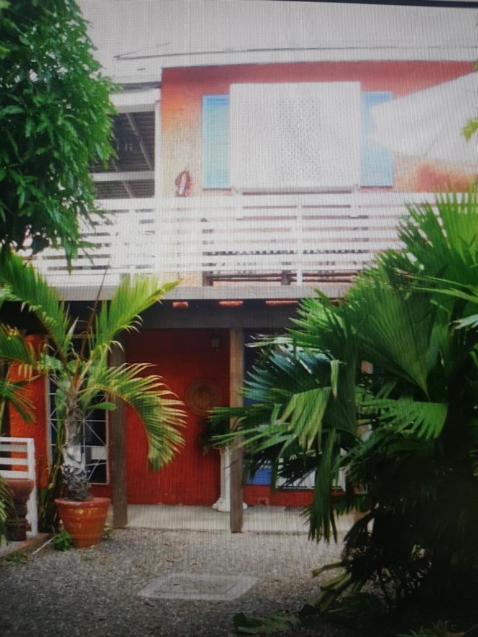 Mikuzi Inn Kingston