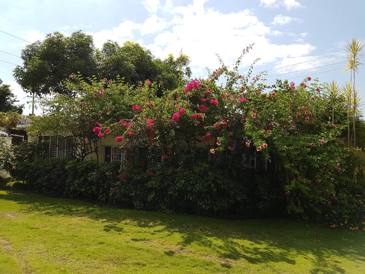 Kingston Cottage *