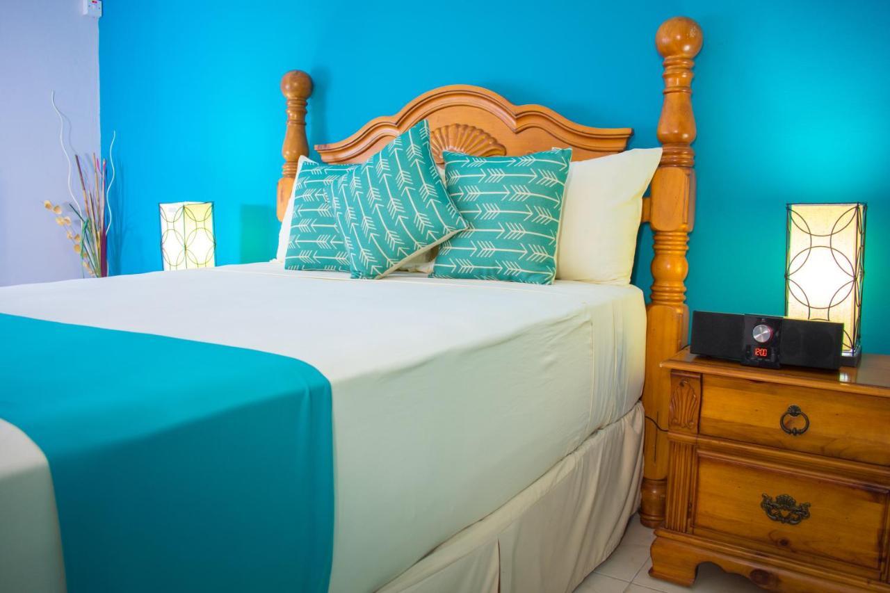 Casa Alexandria Guest Kingston