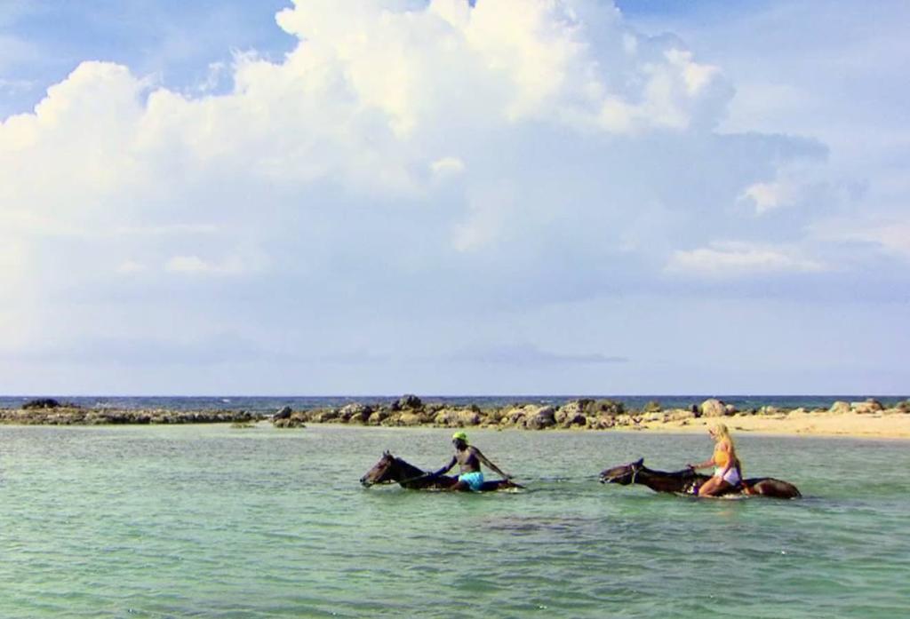 The Palmyra A Solis & 5* Montego Bay