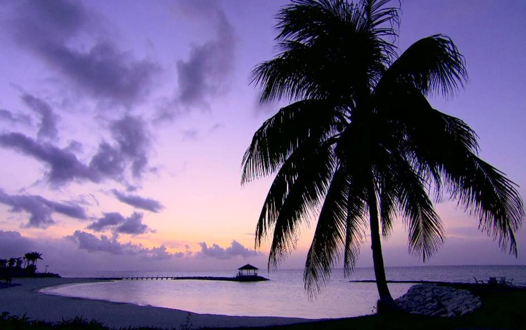 The Palmyra A Solis & 5* Montego Bay