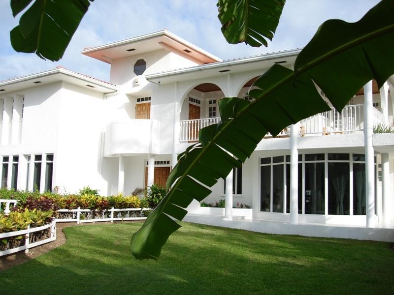 Paradise L Horizon -