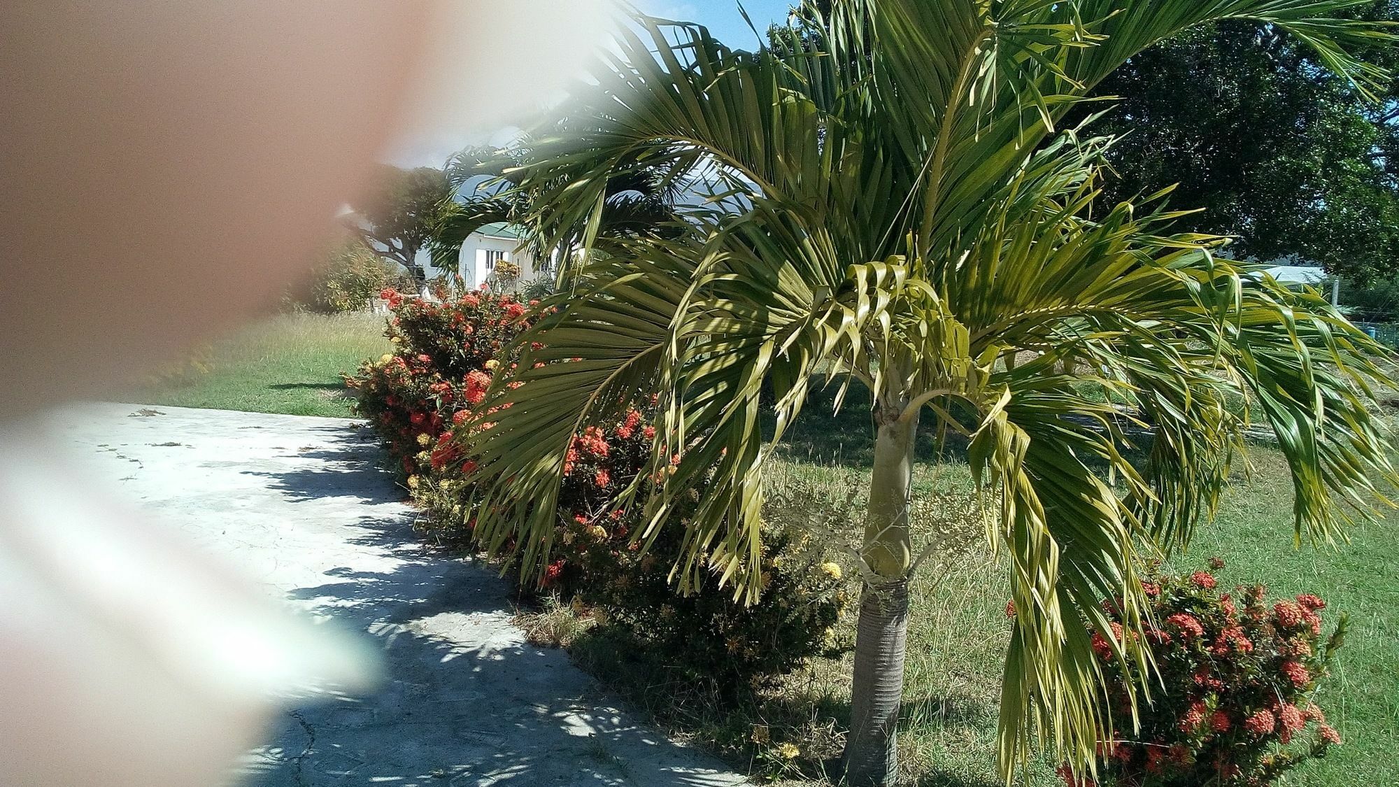 Treasure Bay 2*