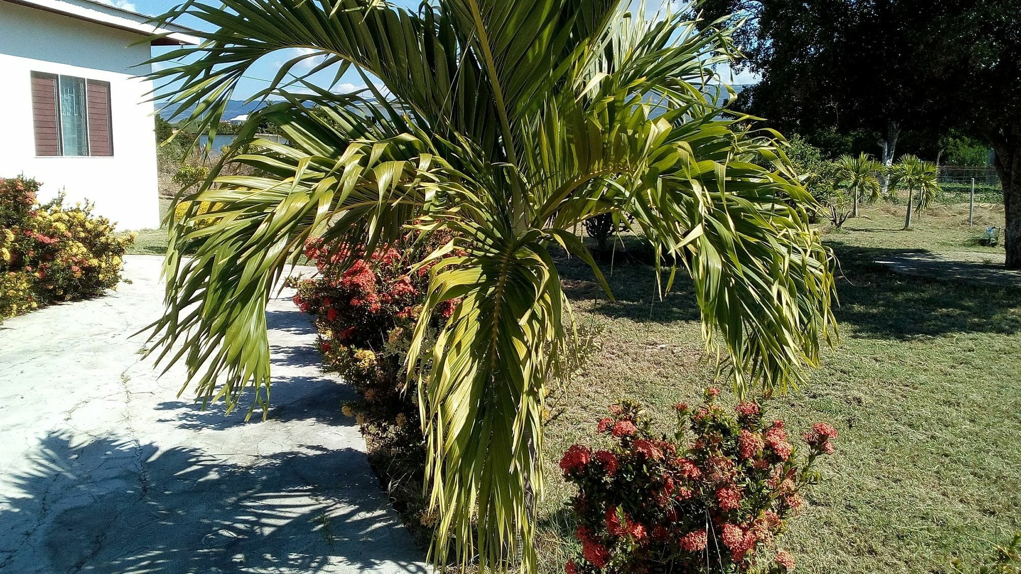 Guest house Treasure Bay