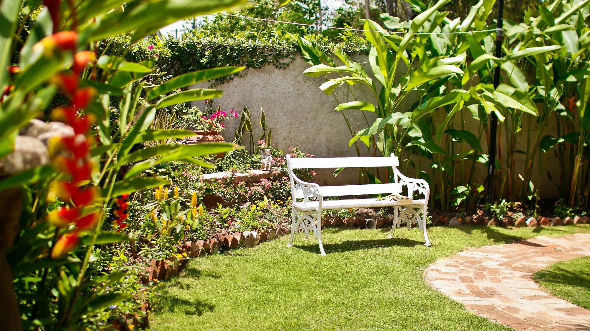 Cattleya Luxury
