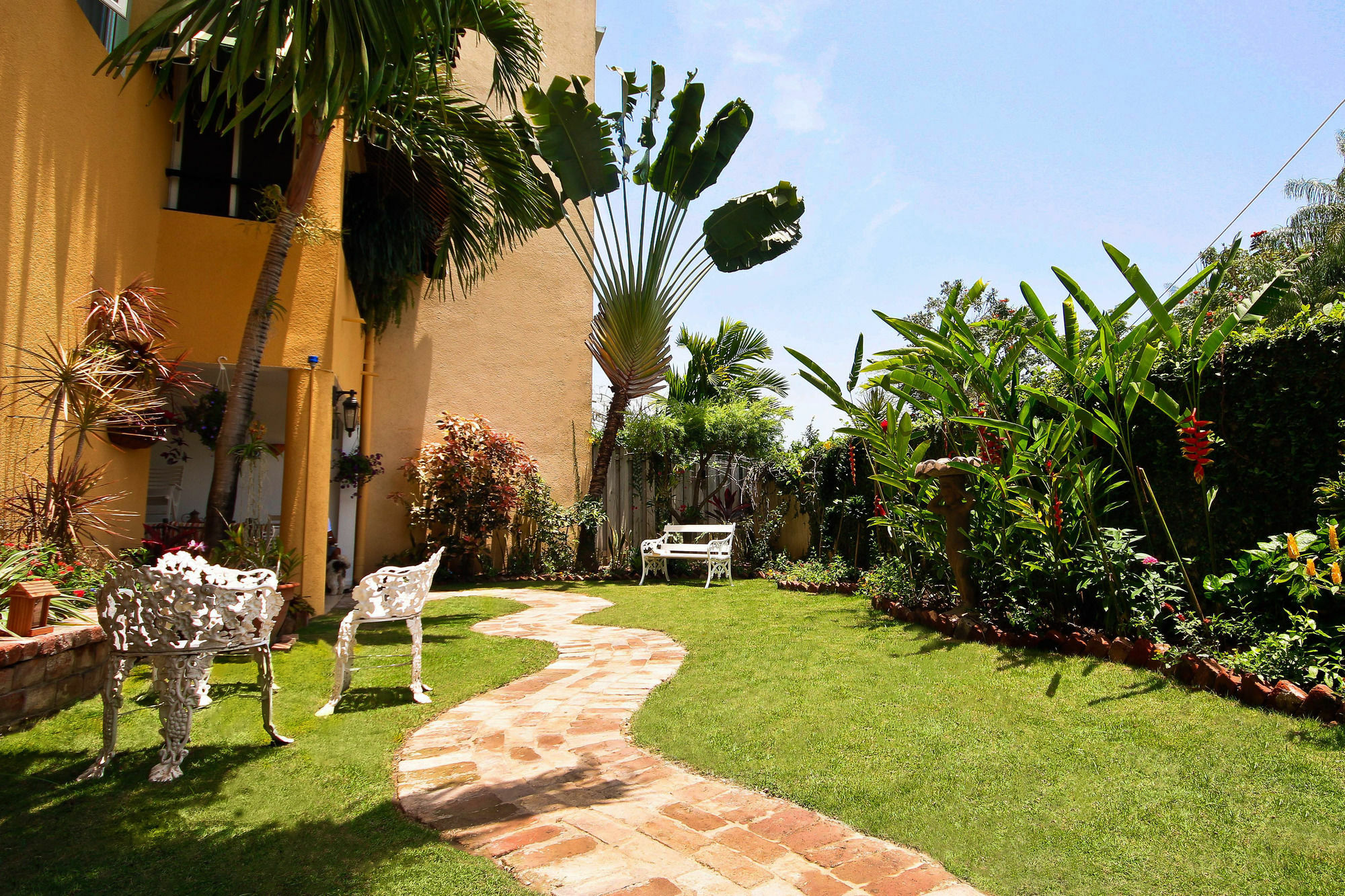 Guest house Cattleya Luxury Kingston