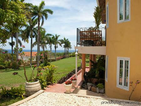 Bird Eye View Apartment