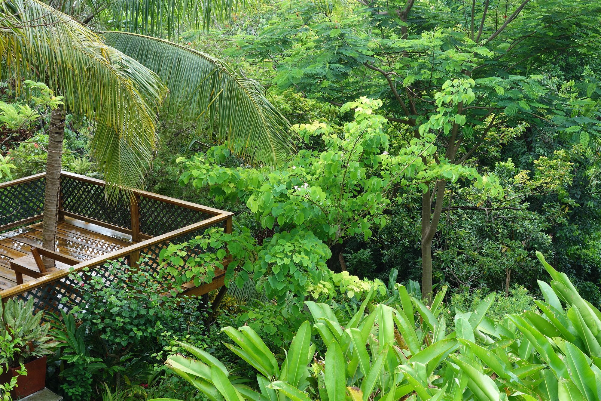 Mockingbird Hill Hotel Port Antonio