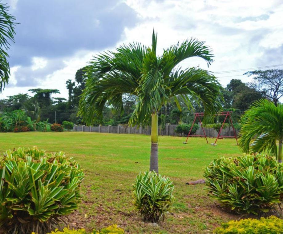 Guest house Emerald Vacation