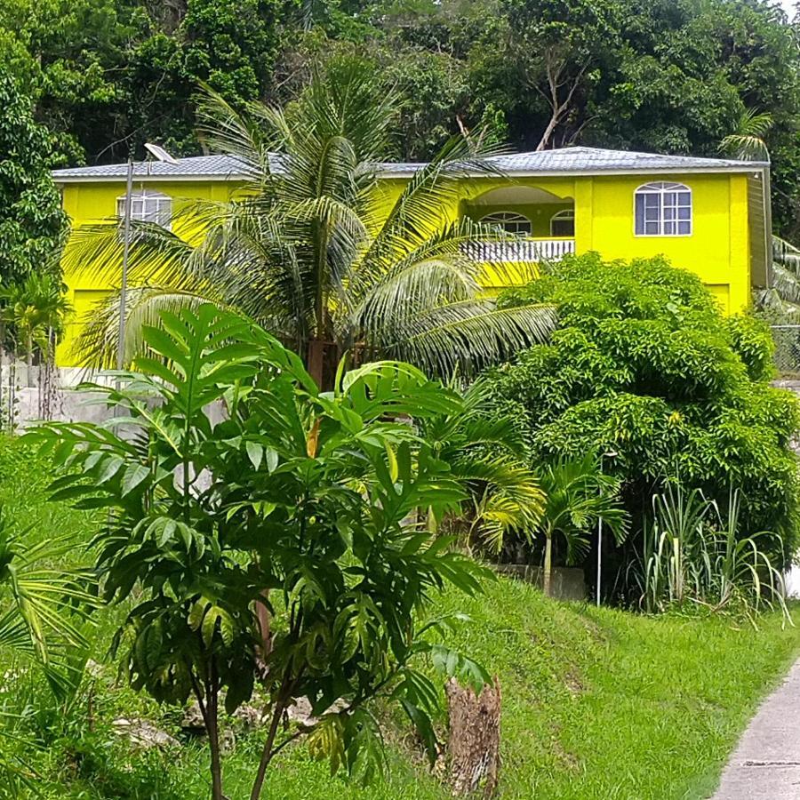 Tha Lagoon Spot Port Antonio