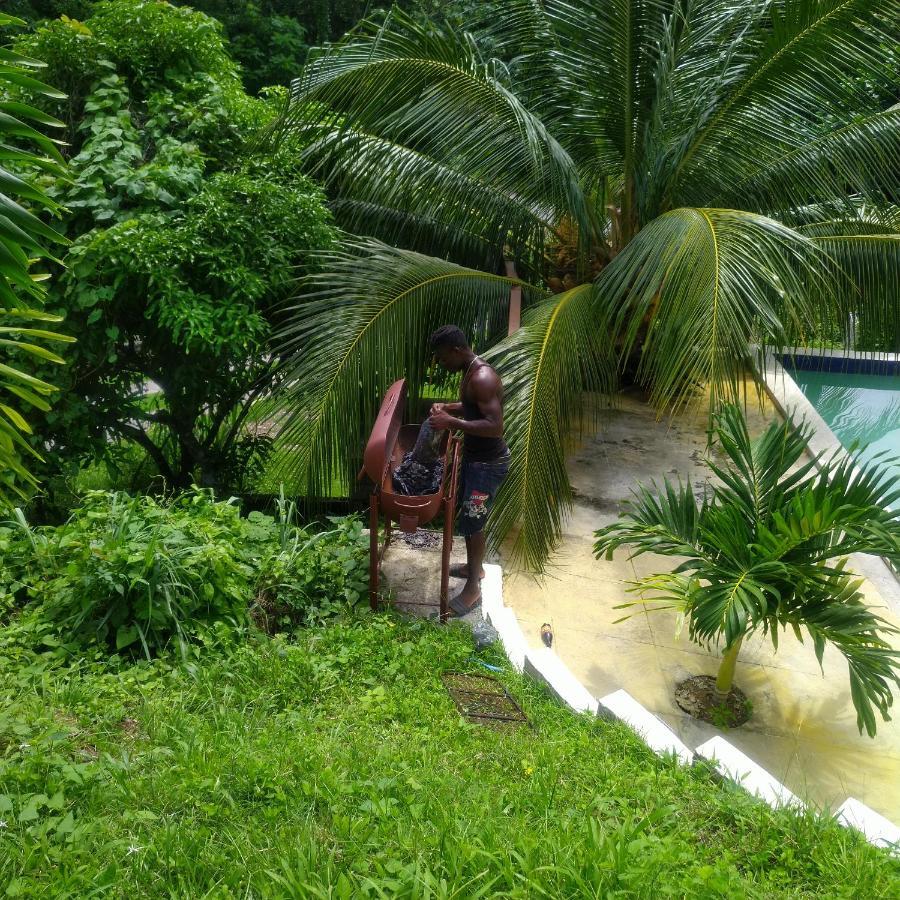 Tha Lagoon Spot Apartment Port Antonio
