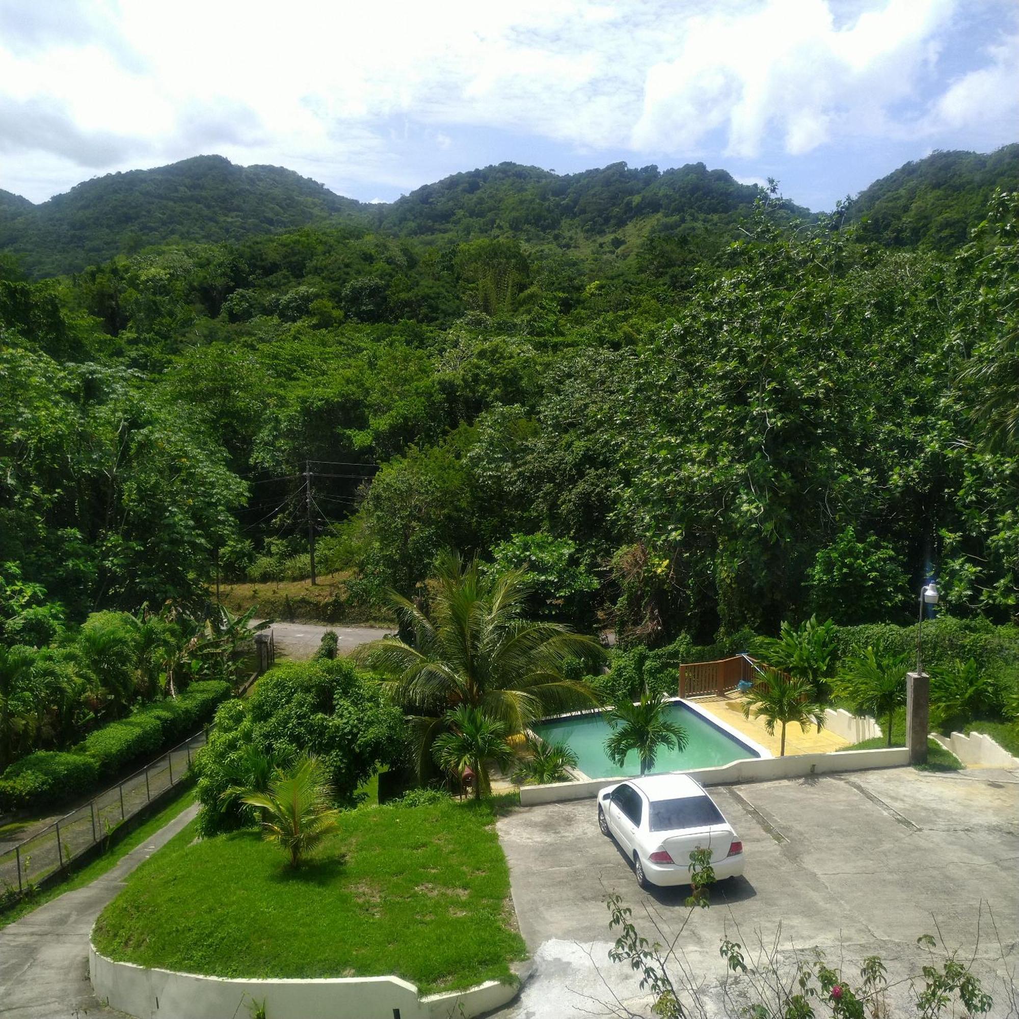 Tha Lagoon Spot Port Antonio