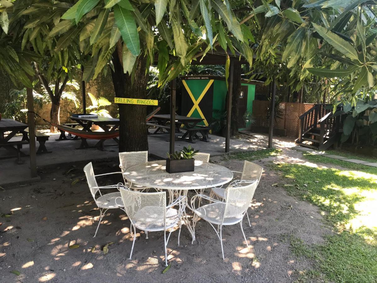 Backpackers Hostel Kingston