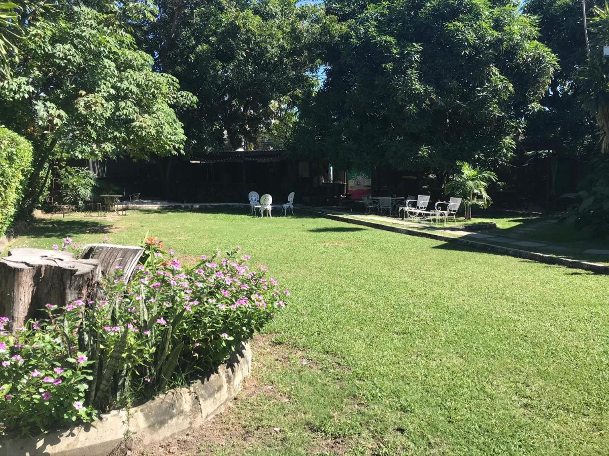 Backpackers Hostel Kingston