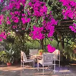 The Blue House Boutique Bed & Breakfast