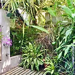 The Blue House Boutique Bed & Breakfast