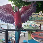 Beachview Studio
