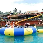 Hospitality Expert Jagger - Tour Pool Bar Beach
