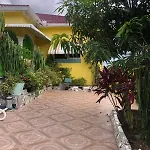 Leo Villa