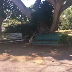 June Plum Bed And Breakfast