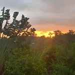 Teresinajamaica