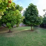 Sunspot Villa