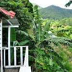Mount Edge Guest House