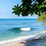 Summers Dream