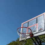 Summers Dream