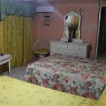 Hibiscus Hostel