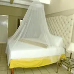 Pineapplesuites