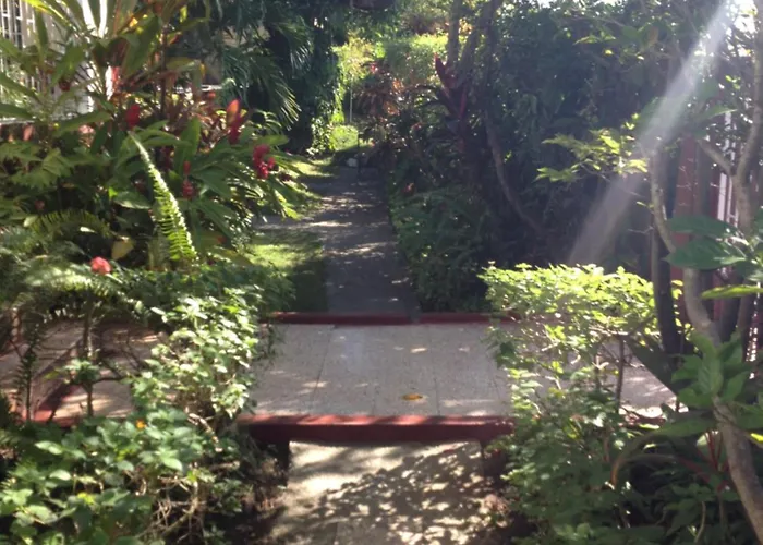 Kingston Airport Bed And Breakfast