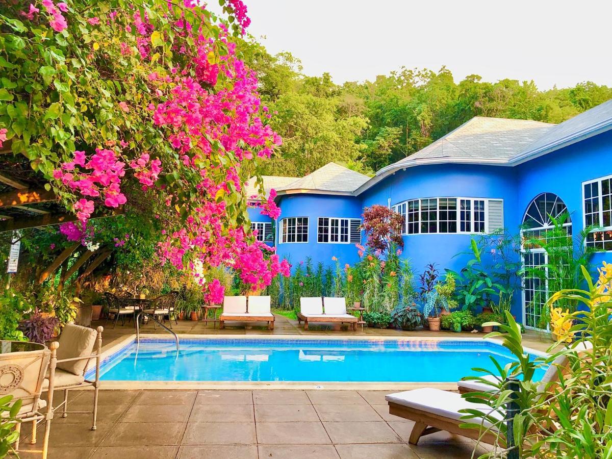 The Blue House Boutique Bed & Breakfast Bed & Breakfast Ocho Rios