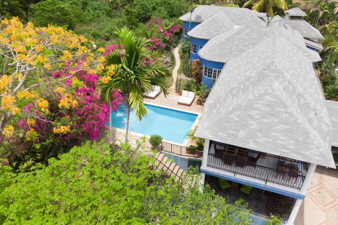 The Blue House Boutique Bed & Breakfast Ocho Rios