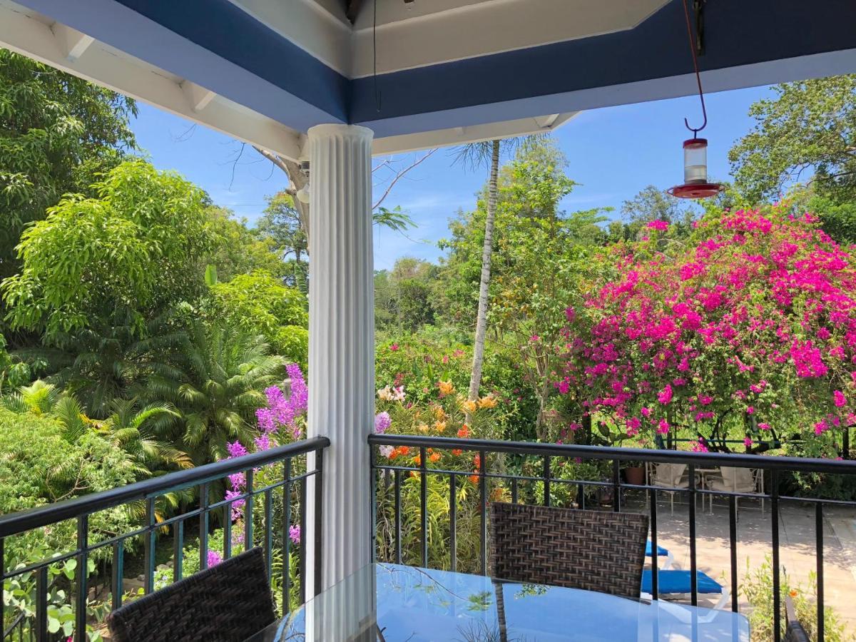The Blue House Boutique Bed & Breakfast Ocho Rios