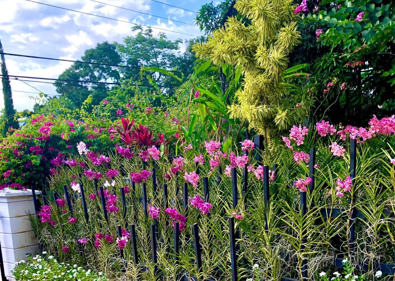 The Blue House Boutique Bed & Breakfast Ocho Rios