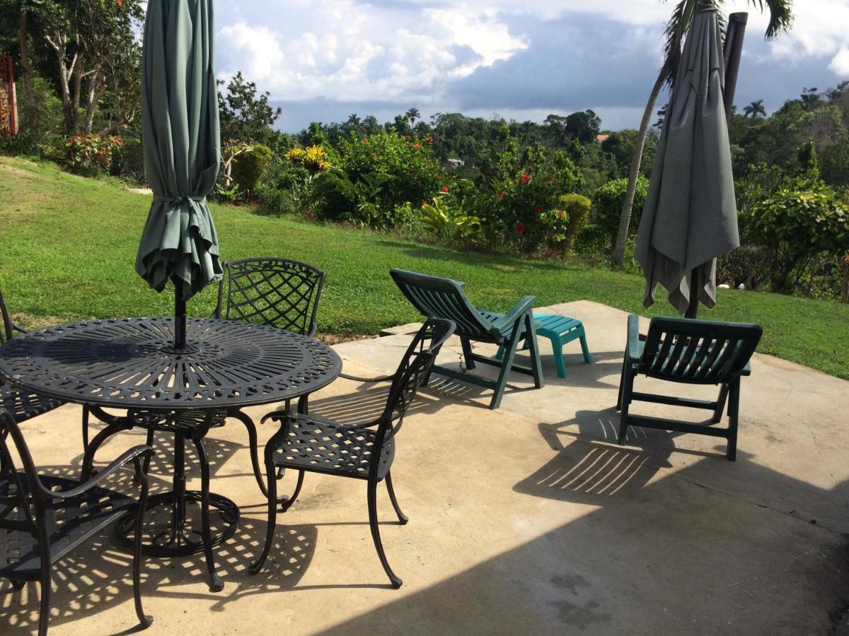 Teresinajamaica Guest house Saint Ann's Bay