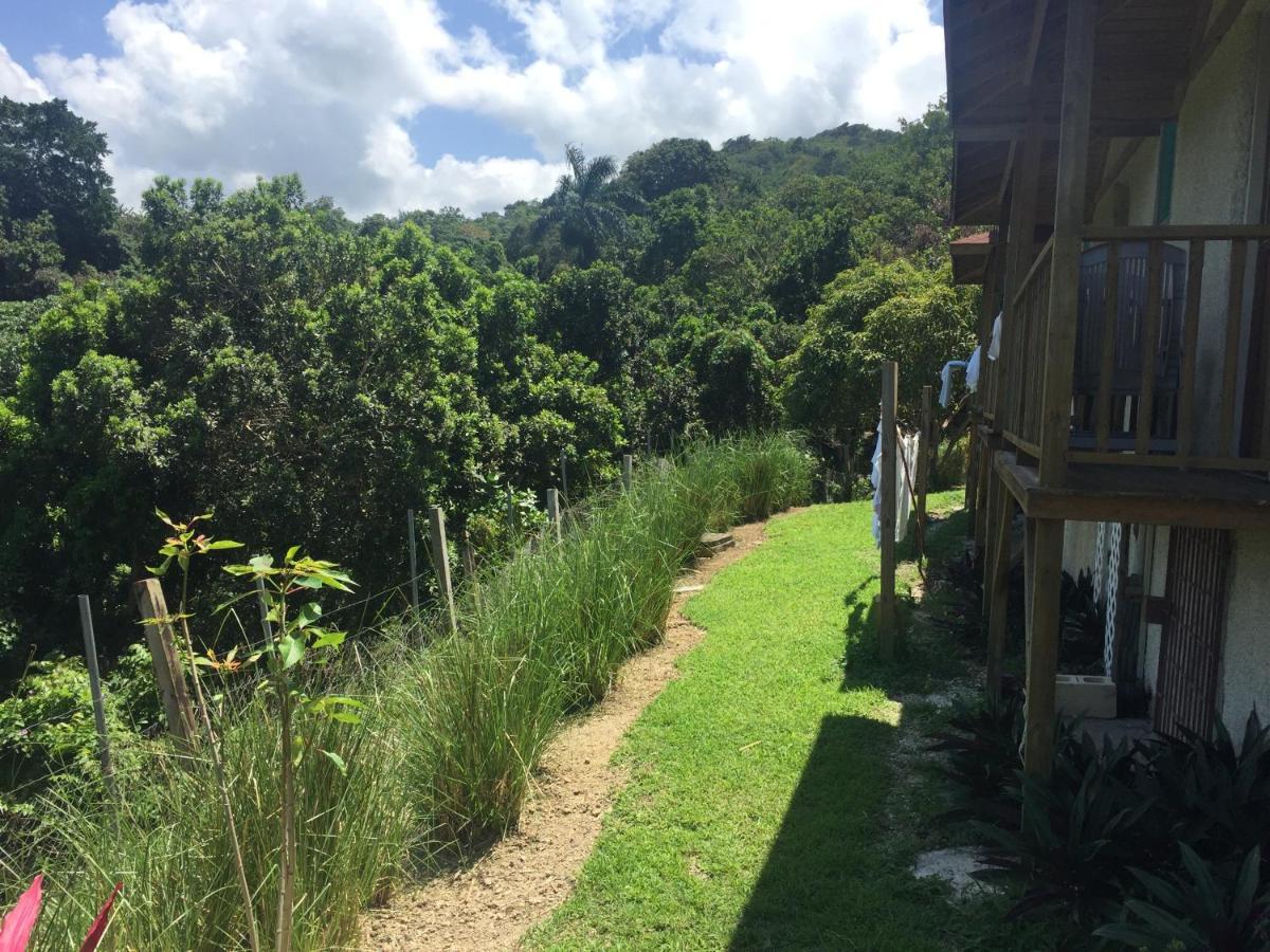 Guest house Teresinajamaica Saint Ann's Bay